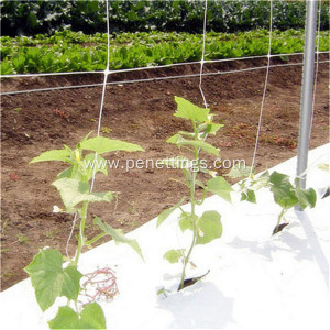 Garden support Mesh Net